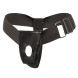 You2Toys Strap-On Set Harness & RC Thrusting Vibrator